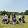 Great Off Leash Dog Training, LLC - Saratoga Dog Trainer gallery