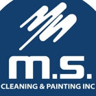 MS Cleaning  & Painting