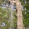 H & L Tree Service gallery