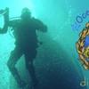 Ocean Adventures Dive gallery