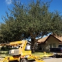 Carranza Tree Service