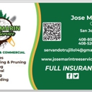Jose Marin Tree Service - Tree Service