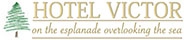 Victor Hotel - Hotels & Accommodation