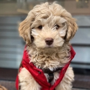 Forest Creek Kennels - Kennels