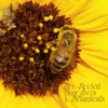 Bee Rooted gallery