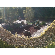 Gallery Image Number 3