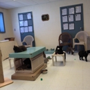 Lynchburg Humane Society Inc - Humane Societies