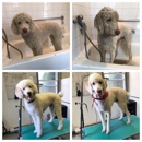 Bow Wow - Pet Boarding & Kennels