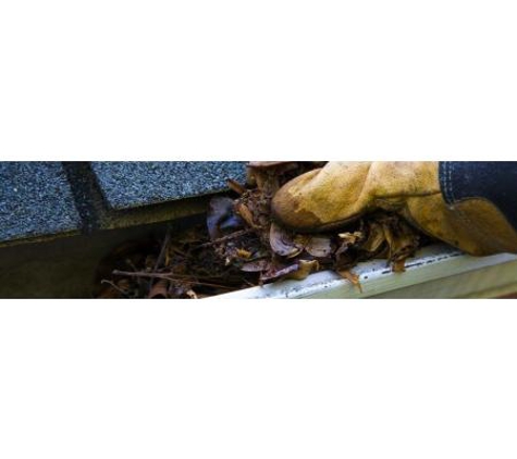 Gutter Cleaning Townsville - Roseneath, QLD