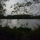 Kozy Oaks Kamp