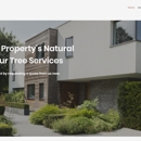 ACW Tree Service - Tree Service