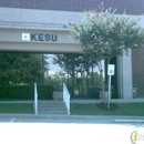Kesu Systems & Service Inc - Lamps & Shades-Wholesale & Manufacturers