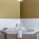 Comfort Suites Plainview - Motels