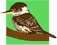 Little Kookas Kingsthorpe Childcare - Child Care Centres