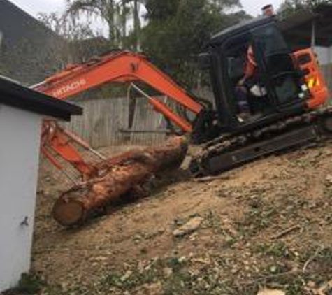 All Tree & Stump Works - Palm Beach, QLD