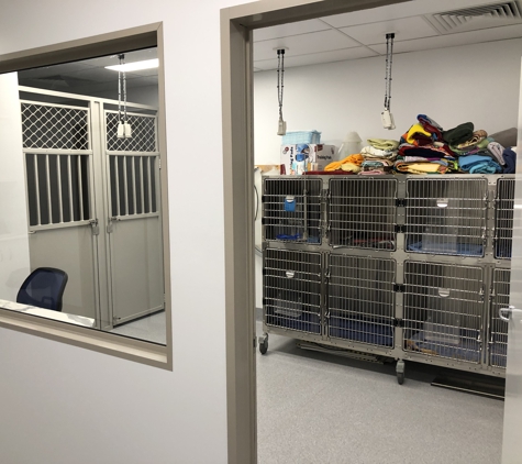 Animal Clinic Maffra - Maffra, VIC