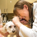 Haarstad Veterinary Dermatology - Veterinary Specialty Services