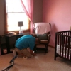 Clean Transformations Carpet Cleaning gallery