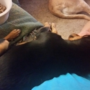 Grayson County Humane Society - Humane Societies