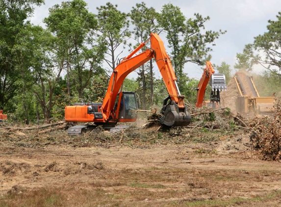 Jackson Tree Services - Mudgeeraba, QLD