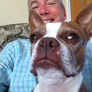 Four Boston's Pet Sitting