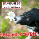 Sit Means Sit Mahoning Valley - Dog Training