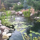 Peaceful Falls - Botanical Gardens