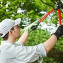 Bostwick Tree Service - Arborists