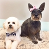 Bark Avenue Pet Spa & Boutique gallery