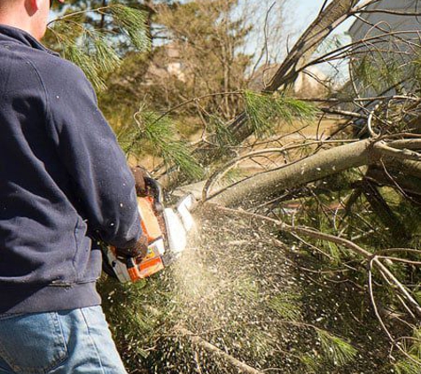 Kiker Tree Service & Stump Removal - Indian Trail, NC