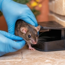 BHB Pest Elimination - Pest Control Equipment & Supplies