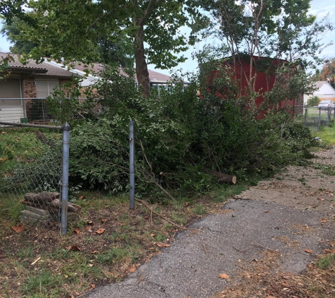John's Tree Service - Dallas, TX. Mess at the back of my neighbors yard.