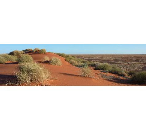 Low Ecological Services Pty Ltd - Connellan, NT