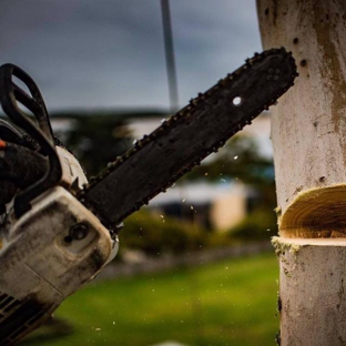Trimmer Tree - Wonthaggi, VIC