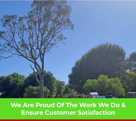 Phil's Tree Service - Cootamundra, NSW. We Are Proud Of The Work We Do & Ensure Customer Satisfaction