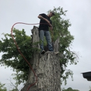 Texas Tree Transformations LLC - Tree Service