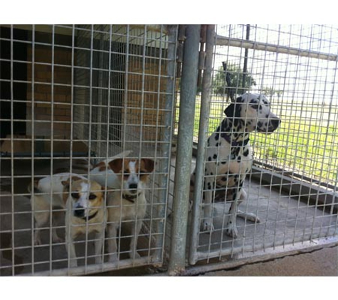 Glen-Milton Dog Boarding Kennels & Cattery - Duri, NSW