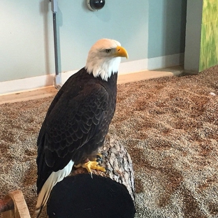 National Eagle Center - Wabasha, MN