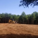 Wildcat Advanced Land Clearing - Tree Service