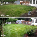 Hammond and Sons Lawn Care and Landscaping - Tree Service