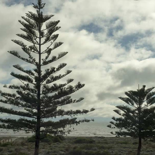 Semaphore Residential Aged Care - Semaphore, SA