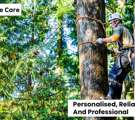 Al's Tree Care - Terrigal, NSW. Personalised, Reliable, And Professional