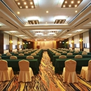 PartyQuip - Party & Event Planners