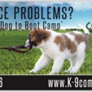 K-9 Companions Dog Training - Dog Training