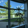 Buffalo Ophthalmology gallery