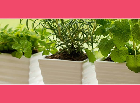 Cambridge Management Services - Rhodes, NSW