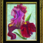 The Wild Rose