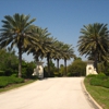 Florida Landscape & Nursery gallery