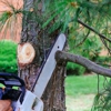 Captain's Tree Service gallery