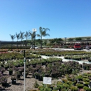 Evergreen Nursery - Topsoil